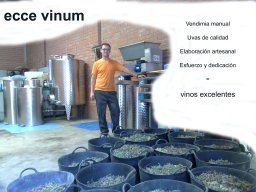 moise-eccevinum-texto1 copia grande